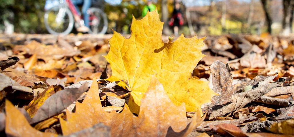 Drámai fordulatot vesz az időjárás november 1-én – videó