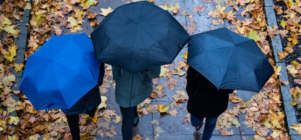 Napi horoszkóp: az új hónap új kezdést is tartogathat