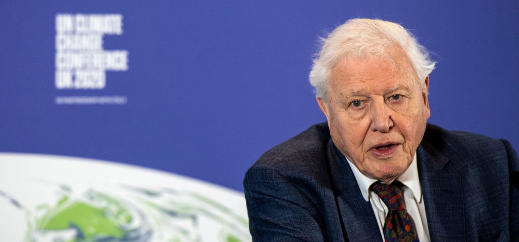 Ilyen jóképű férfi volt fiatalon David Attenborough