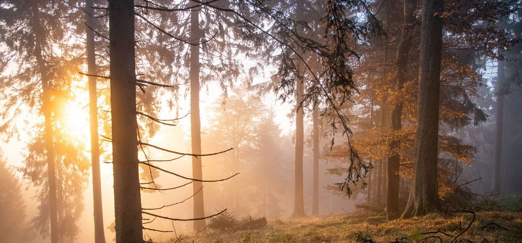 A kedd könnyedén felkészít arra, ami szerdán rád vár – időjárás