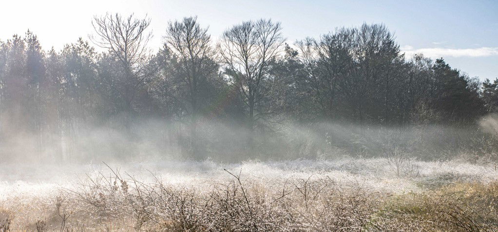 Csütörtökön magához ölel a tavasz, és ennek nagyon fogsz örülni