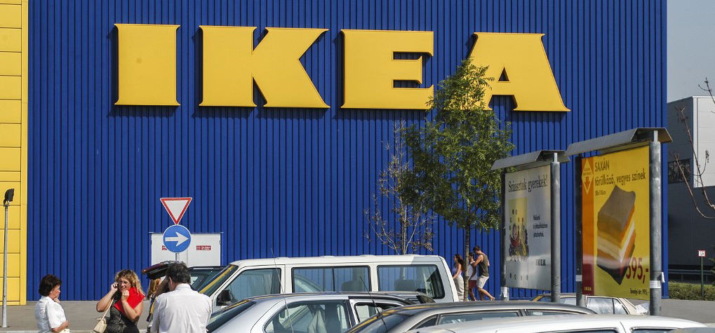 Vett egy erdőt az IKEA, azért, hogy megakadályozza a terület beépítését