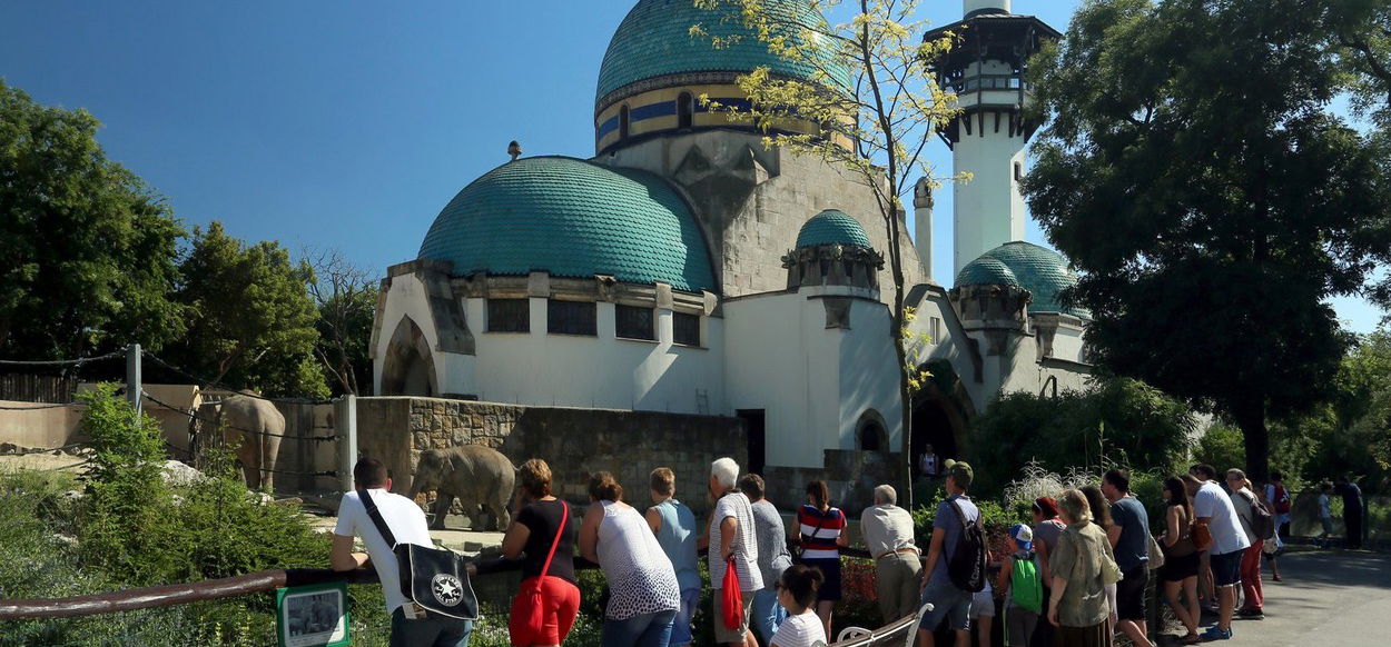 Rászoruló gyermekeknek szervez ingyenes napközis tábort a fővárosi állatkert